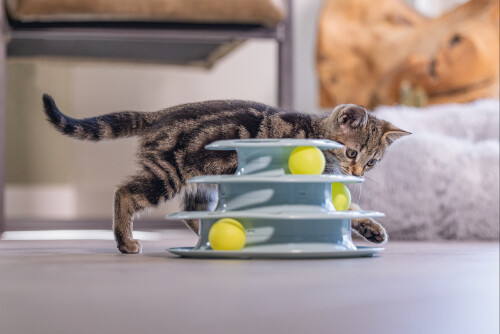 Beeztees Yavru Kedi Oyuncağı, 3 Katlı, 25x25x13cm - 7