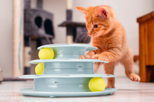 Beeztees Yavru Kedi Oyuncağı, 3 Katlı, 25x25x13cm - 8