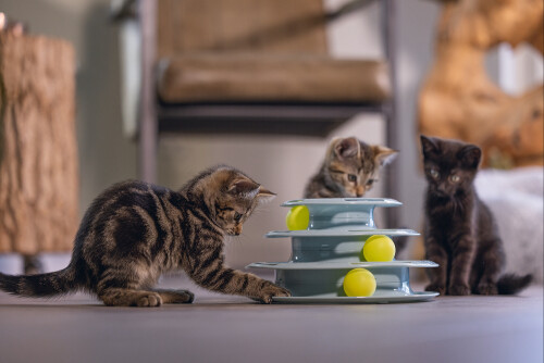 Beeztees Yavru Kedi Oyuncağı, 3 Katlı, 25x25x13cm - 9