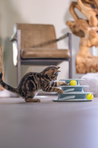 Beeztees Yavru Kedi Oyuncağı, 3 Katlı, 25x25x13cm - 10