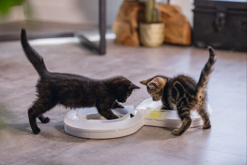 Beeztees Yavru Kedi Oyuncağı, 50x24x5,5cm - 3