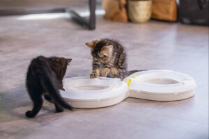 Beeztees Yavru Kedi Oyuncağı, 50x24x5,5cm - 2