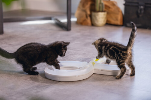 Beeztees Yavru Kedi Oyuncağı, 50x24x5,5cm - 6