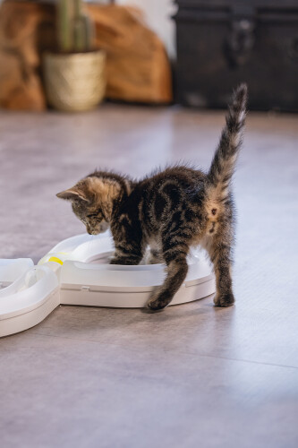 Beeztees Yavru Kedi Oyuncağı, 50x24x5,5cm - 7