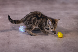 Beeztees Yavru Kedi Oyuncağı, Hışırtılı Top, 4 Adet, 5cm - 4