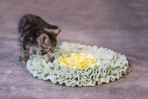 Beeztees Yavru Kedi Oyuncağı, Ödül Saklama, 38x38x3cm - 2