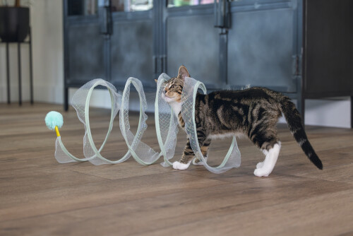 Beeztees Yavru Kedi Tüneli, Spiral Şeklinde, 60x25x25cm - 2