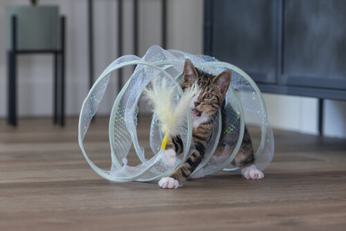 Beeztees Yavru Kedi Tüneli, Spiral Şeklinde, 60x25x25cm - 8