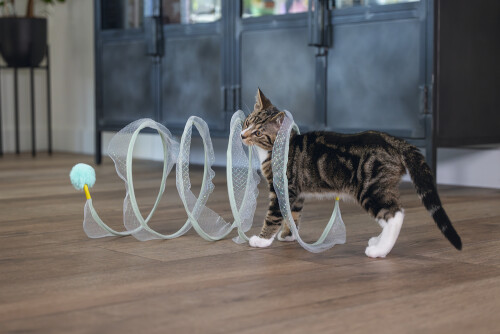 Beeztees Yavru Kedi Tüneli, Spiral Şeklinde, 60x25x25cm - 14