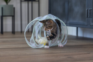 Beeztees Yavru Kedi Tüneli, Spiral Şeklinde, 60x25x25cm - 16