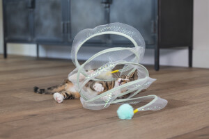 Beeztees Yavru Kedi Tüneli, Spiral Şeklinde, 60x25x25cm - 18