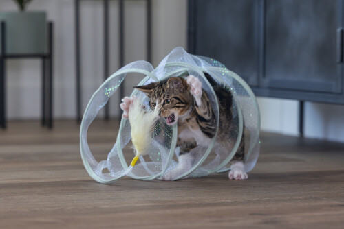 Beeztees Yavru Kedi Tüneli, Spiral Şeklinde, 60x25x25cm - 19