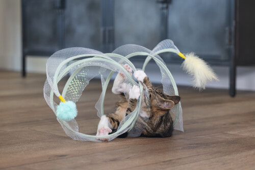 Beeztees Yavru Kedi Tüneli, Spiral Şeklinde, 60x25x25cm - 21