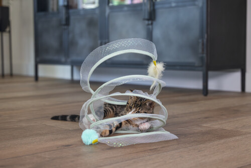 Beeztees Yavru Kedi Tüneli, Spiral Şeklinde, 60x25x25cm - 22