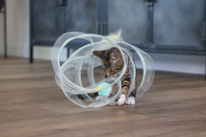 Beeztees Yavru Kedi Tüneli, Spiral Şeklinde, 60x25x25cm - 25