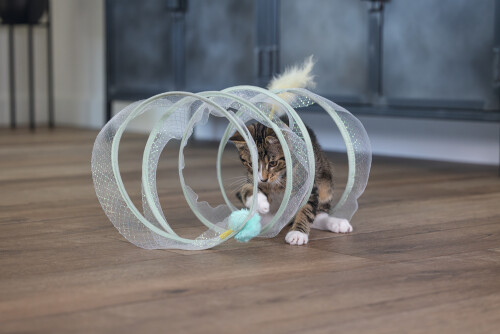 Beeztees Yavru Kedi Tüneli, Spiral Şeklinde, 60x25x25cm - 26