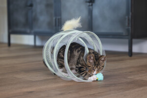Beeztees Yavru Kedi Tüneli, Spiral Şeklinde, 60x25x25cm - 29