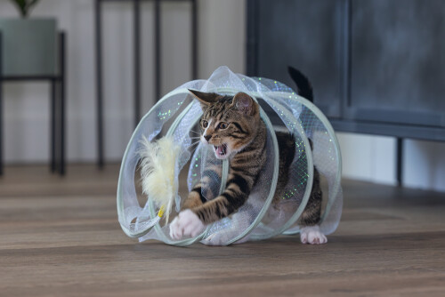 Beeztees Yavru Kedi Tüneli, Spiral Şeklinde, 60x25x25cm - 30