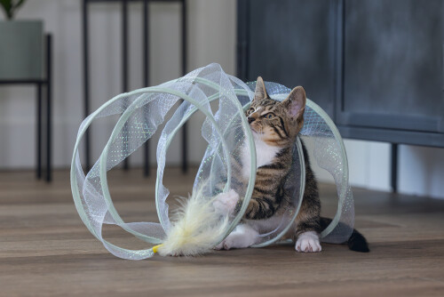 Beeztees Yavru Kedi Tüneli, Spiral Şeklinde, 60x25x25cm - 9