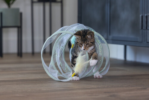 Beeztees Yavru Kedi Tüneli, Spiral Şeklinde, 60x25x25cm - 11