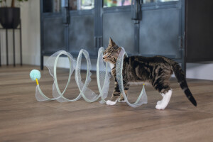 Beeztees Yavru Kedi Tüneli, Spiral Şeklinde, 60x25x25cm - 14