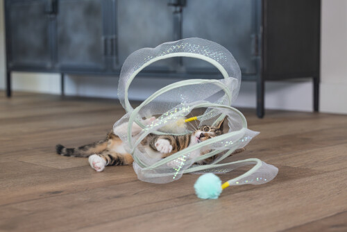 Beeztees Yavru Kedi Tüneli, Spiral Şeklinde, 60x25x25cm - 18