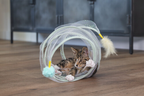 Beeztees Yavru Kedi Tüneli, Spiral Şeklinde, 60x25x25cm - 20