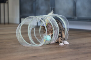 Beeztees Yavru Kedi Tüneli, Spiral Şeklinde, 60x25x25cm - Beeztees