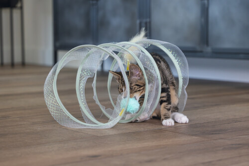 Beeztees Yavru Kedi Tüneli, Spiral Şeklinde, 60x25x25cm - 1