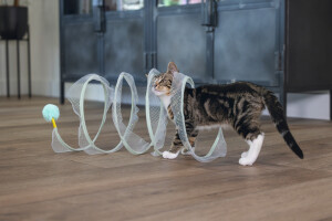 Beeztees Yavru Kedi Tüneli, Spiral Şeklinde, 60x25x25cm - 2