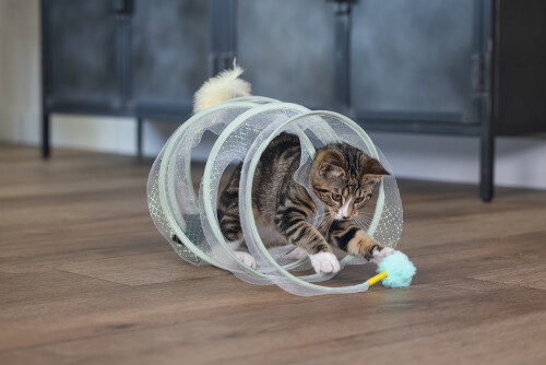 Beeztees Yavru Kedi Tüneli, Spiral Şeklinde, 60x25x25cm - 5