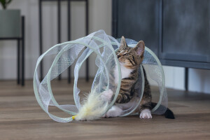 Beeztees Yavru Kedi Tüneli, Spiral Şeklinde, 60x25x25cm - 9