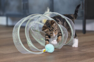 Beeztees Yavru Kedi Tüneli, Spiral Şeklinde, 60x25x25cm - 10