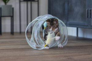 Beeztees Yavru Kedi Tüneli, Spiral Şeklinde, 60x25x25cm - 11