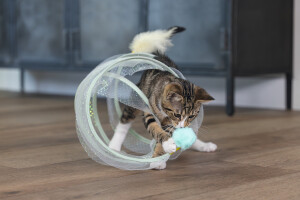 Beeztees Yavru Kedi Tüneli, Spiral Şeklinde, 60x25x25cm - 12