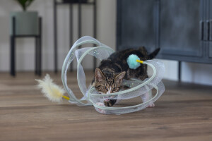 Beeztees Yavru Kedi Tüneli, Spiral Şeklinde, 60x25x25cm - 13