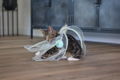 Beeztees Yavru Kedi Tüneli, Spiral Şeklinde, 60x25x25cm - 17