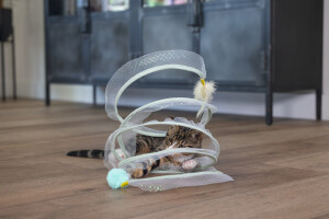 Beeztees Yavru Kedi Tüneli, Spiral Şeklinde, 60x25x25cm - 22