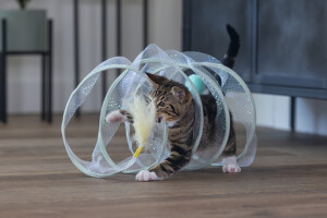 Beeztees Yavru Kedi Tüneli, Spiral Şeklinde, 60x25x25cm - 23