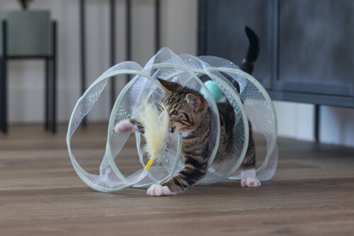 Beeztees Yavru Kedi Tüneli, Spiral Şeklinde, 60x25x25cm - 23