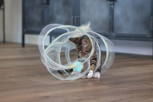 Beeztees Yavru Kedi Tüneli, Spiral Şeklinde, 60x25x25cm - 25