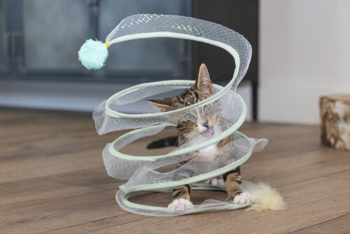 Beeztees Yavru Kedi Tüneli, Spiral Şeklinde, 60x25x25cm - 28