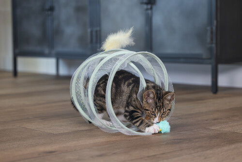 Beeztees Yavru Kedi Tüneli, Spiral Şeklinde, 60x25x25cm - 29