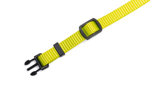 Beeztees Yavru Köpek Boyun Tasması, Çeşitli Renklerde, 17-25cm, 10mm - 14