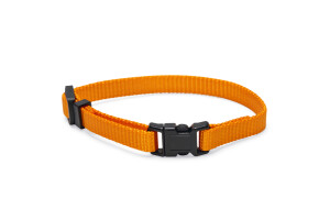 Beeztees Yavru Köpek Boyun Tasması, Çeşitli Renklerde, 17-25cm, 10mm - 22