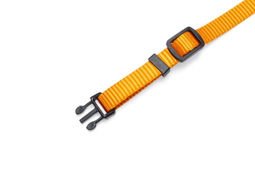 Beeztees Yavru Köpek Boyun Tasması, Çeşitli Renklerde, 17-25cm, 10mm - 25