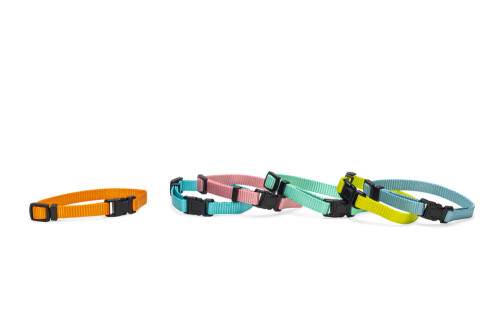 Beeztees Yavru Köpek Boyun Tasması, Çeşitli Renklerde, 17-25cm, 10mm - 2