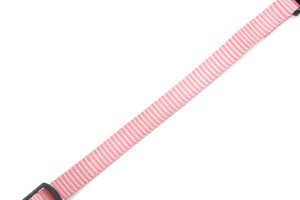 Beeztees Yavru Köpek Boyun Tasması, Çeşitli Renklerde, 17-25cm, 10mm - 15