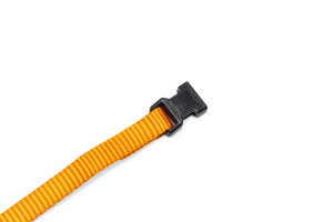 Beeztees Yavru Köpek Boyun Tasması, Çeşitli Renklerde, 17-25cm, 10mm - 24