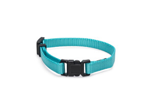 Beeztees Yavru Köpek Boyun Tasması, Çeşitli Renklerde, 17-25cm, 10mm - 3